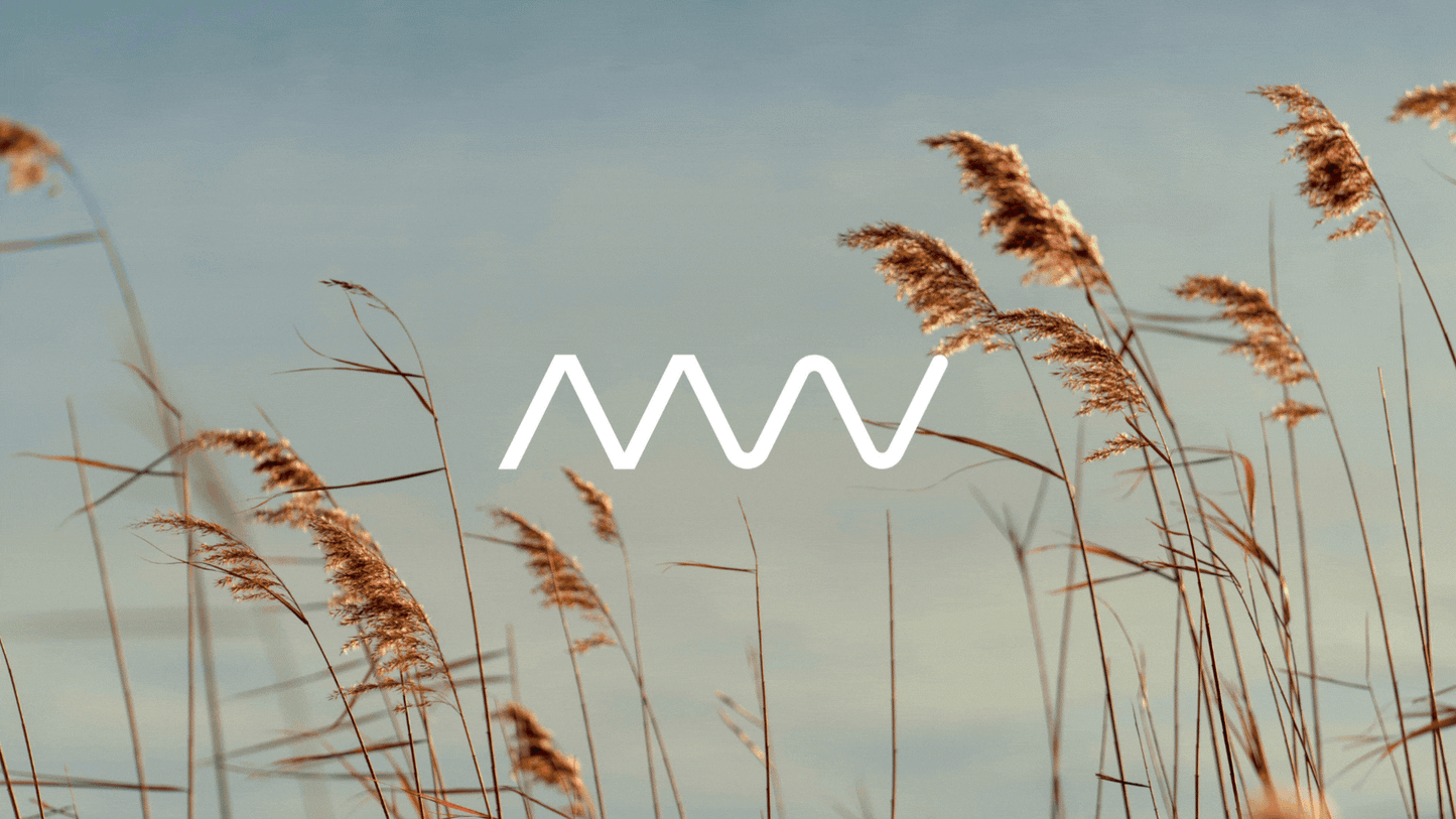 MakeWell US (MakeWell Europe Ltd.)